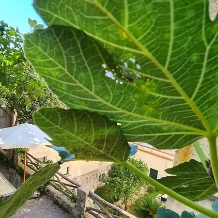 Loft By Amalfivacation 4* Amalfi