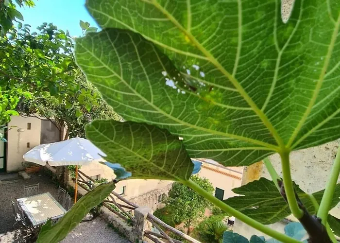 Loft By Amalfivacation 4* أمالفي